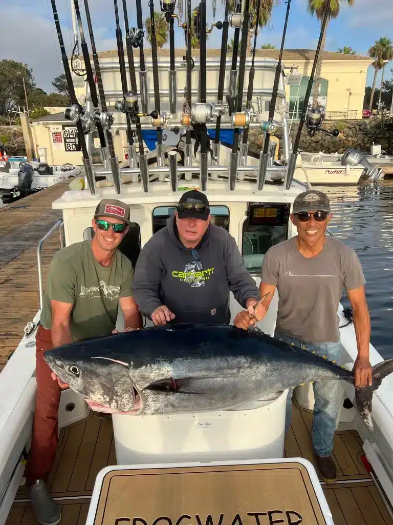 Massive 200+ pound bluefin tuna caught on Coast To Coast Sport Fishing trophy charter