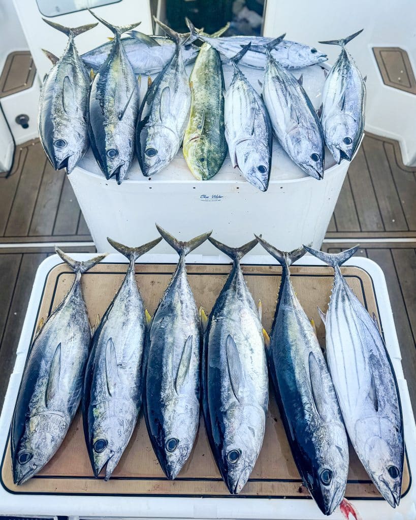 The Complete Fishing Trip Packing List: What to Bring on Your San Diego Charter By Coast To Coast Sport Fishing Fishing Guide San Diego